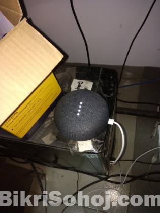 Google Home Mini